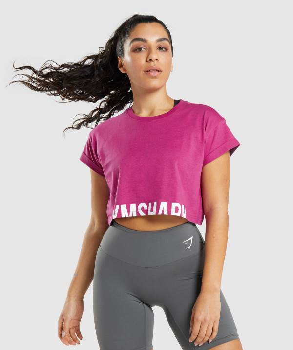 Damske Crop Top Gymshark Fraction Ruzove | JY0481953
